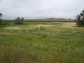 #8: A view North from Highway 2 near Rugby.  Note the distant train travelling East.