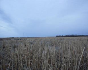 #1: View from the confluence looking east