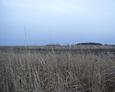 #3: View from the confluence looking south