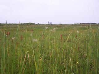 #1: View North from the edge of a dry slough.