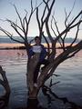 #2:  Joseph Kerski holds 48 N 99 W sign in tree submerged by rising water of Devils Lake, approximately 12 meters west of the confluence.