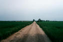 #4: section line road leading north from ND23