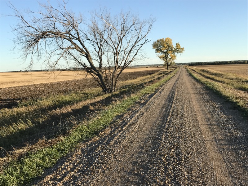 Beautiful time of day and year, looking south from the nearest road to the confluence.