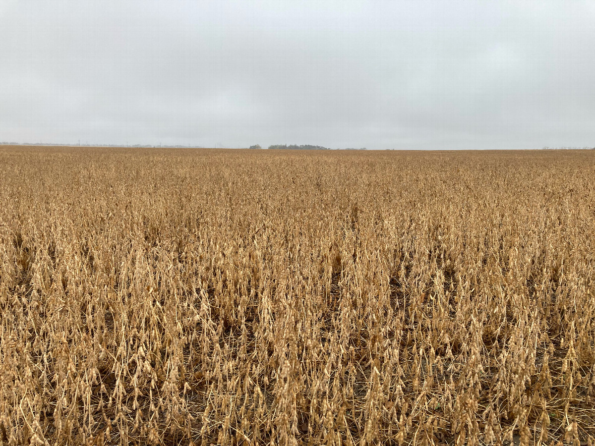 Looking southwest toward 48N 101W, from almost 300 meters away (the turnaround spot)