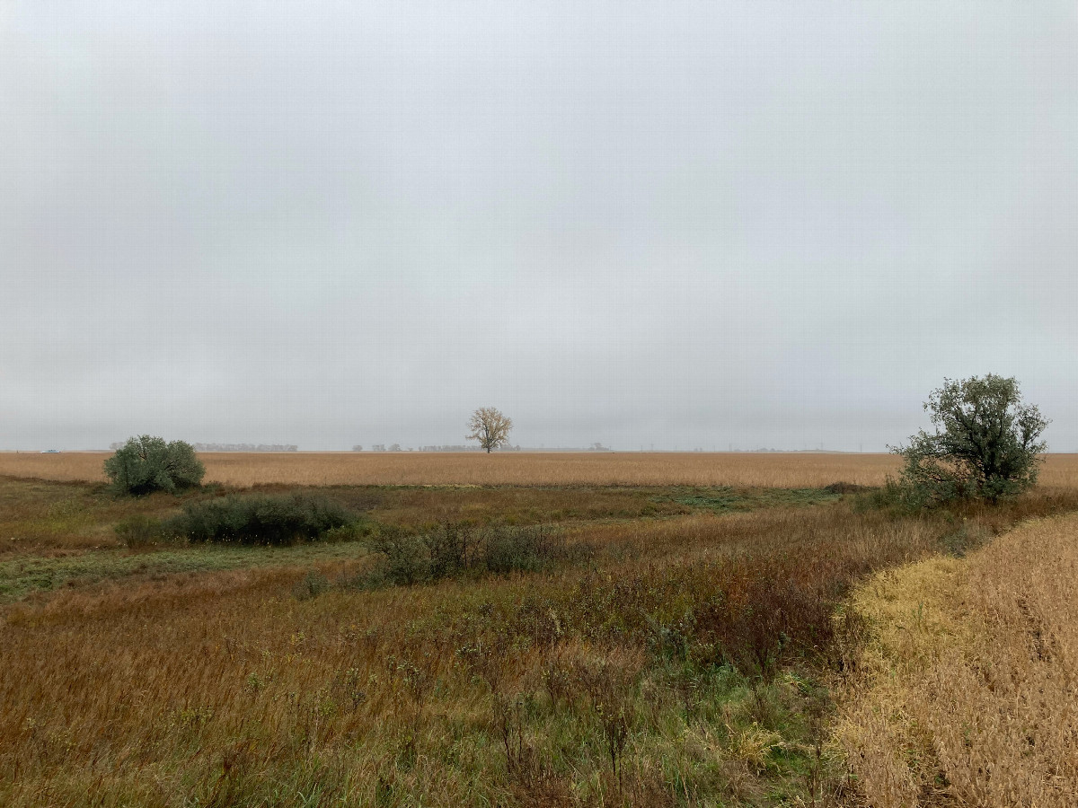 Looking east along the field's north edge