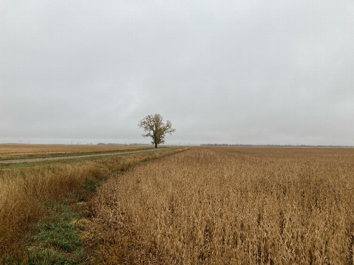 Looking south from the northeast corner of the confluence field, near the parking spot
