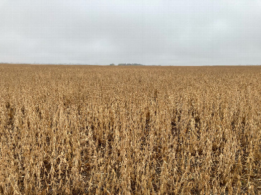 #1: Looking southwest toward 48N 101W, from almost 300 meters away (the turnaround spot)
