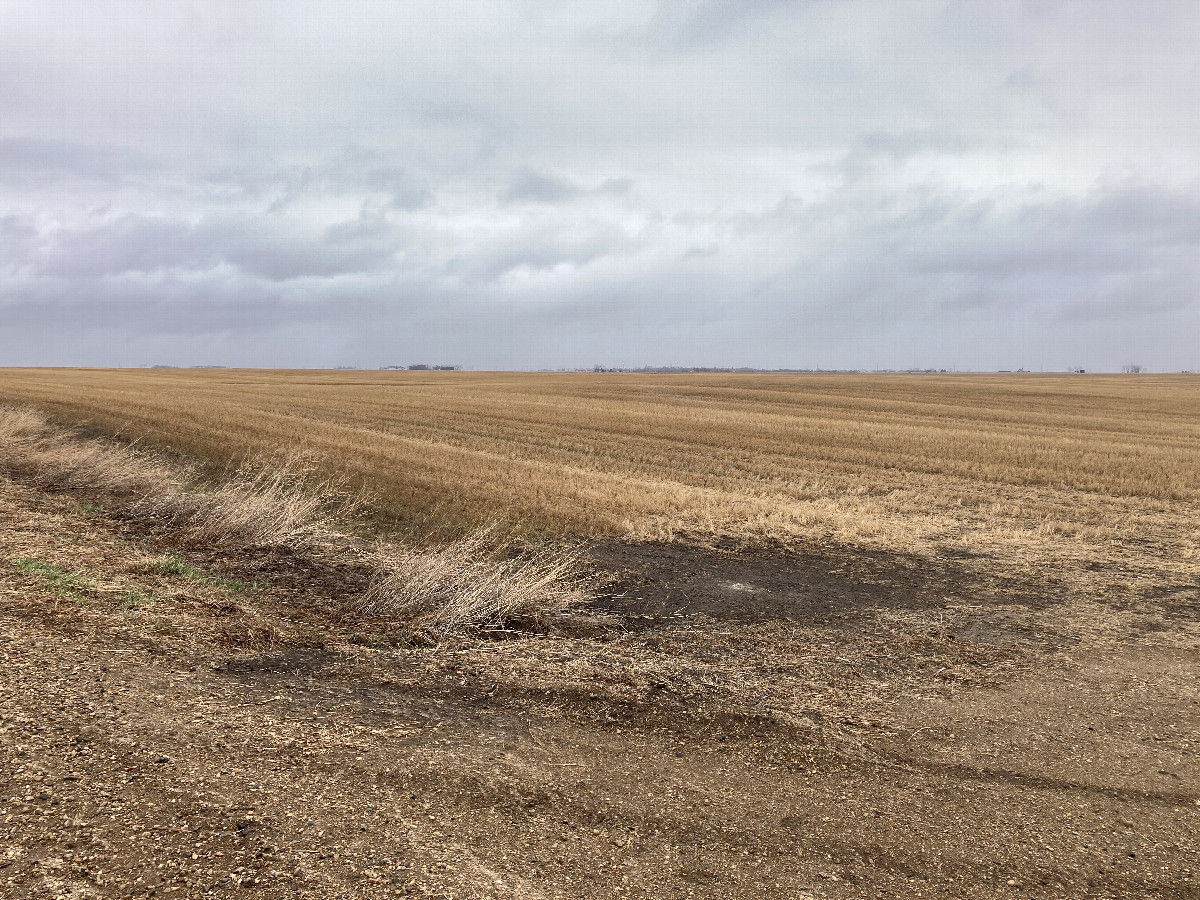 Looking northeast at 48N 102W, located in the middle foreground beside the patch of bare dirt