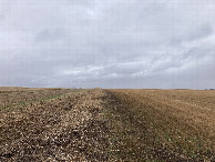 #2: Looking north from the confluence