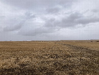 #3: Looking east