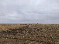 #4: Looking south, towards a nearby home