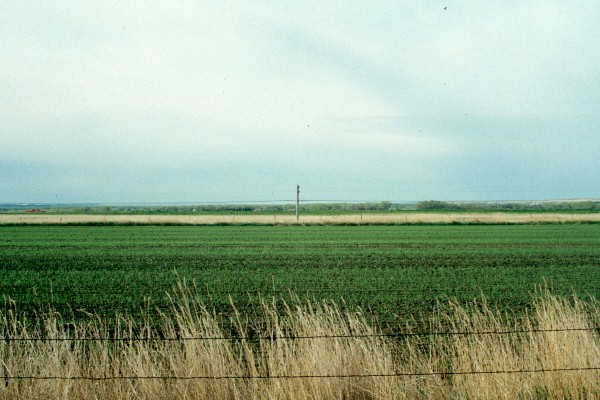 south