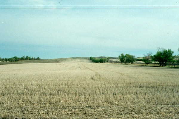 north