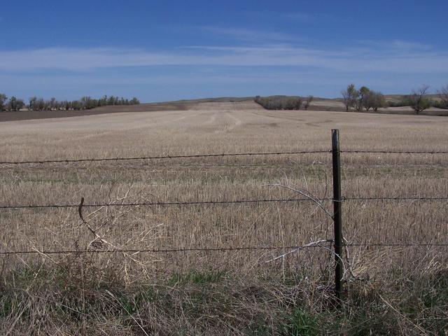 Looking north.