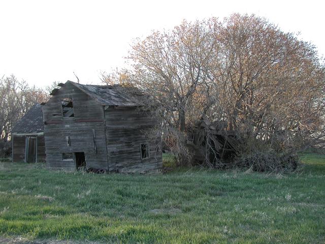 Abandoned buildings along farm road leading to confluence