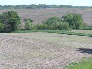 #1: The confluence, looking southwest from Highway 66, lies in the center of the photograph, before the trees.