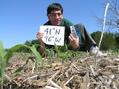 #2: Joseph Kerski in the cornfield at the confluence of 41 North and 96 West.