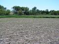 #9: View to the southwest from the confluence.