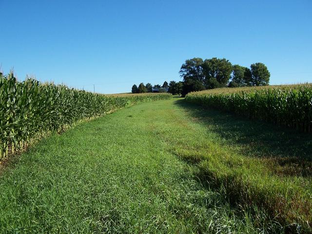 Looking North from near the confluence.