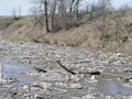 #8: The South Fork of the Big Nemaha River experiences a breakup.