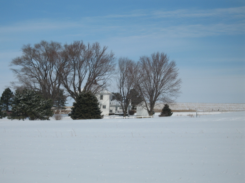 Picture taken to the North, standing over the confluence,