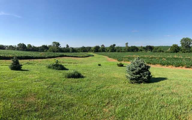 View down towards the point from the back porch of the house