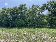 #4: View to the south