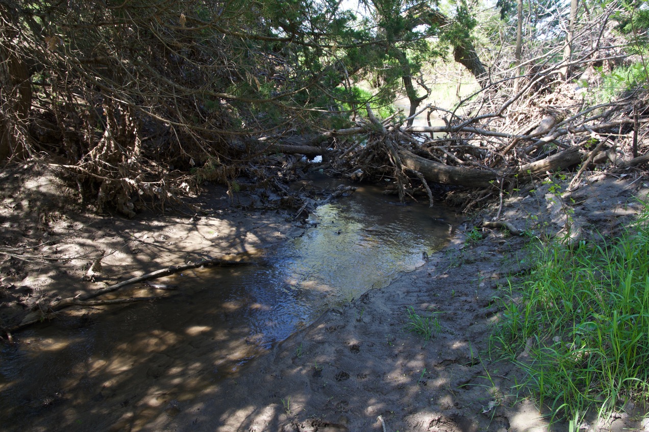 The small creek that runs just to the West of the point
