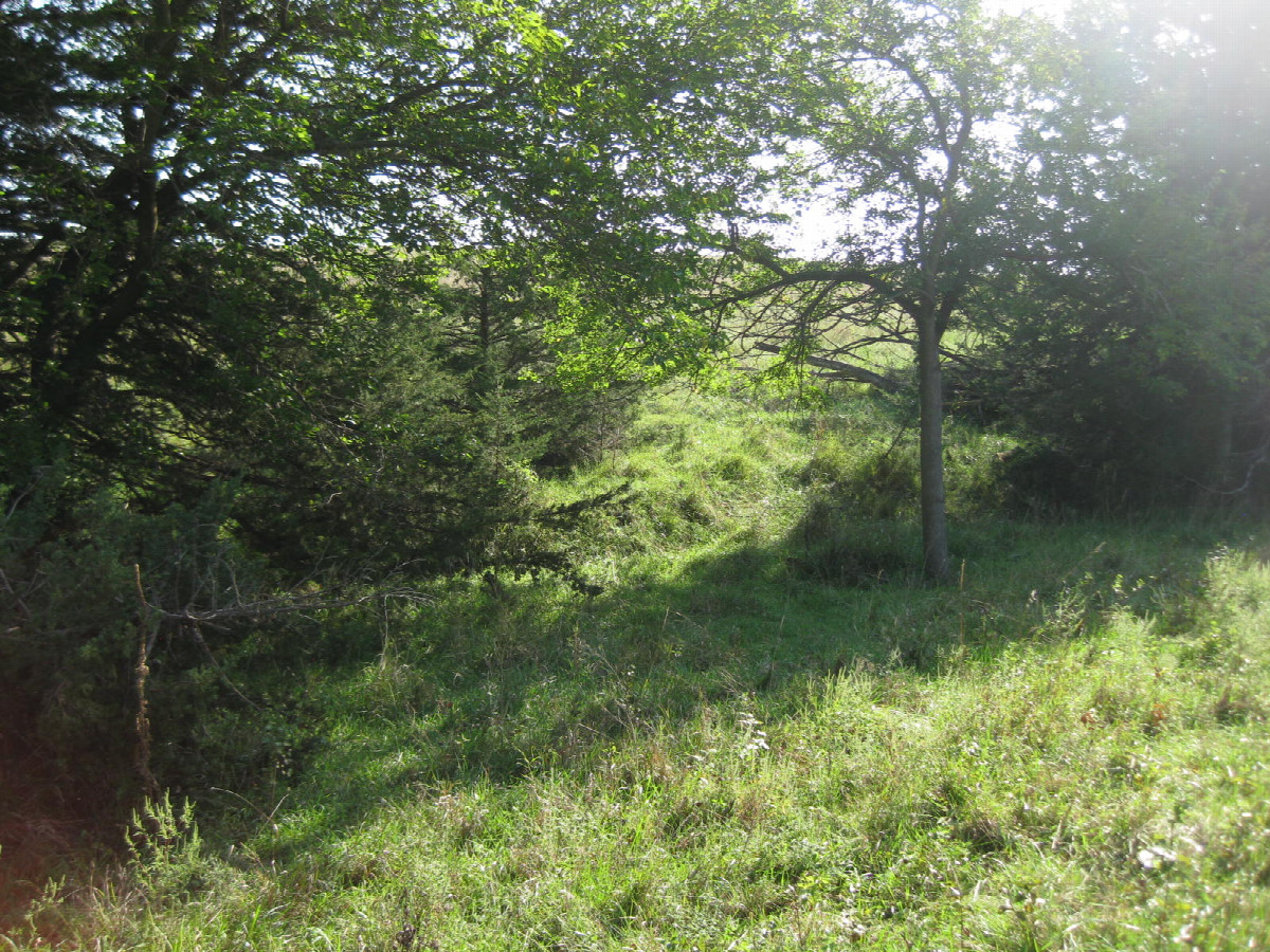 Looking east at the confluence in the foreground