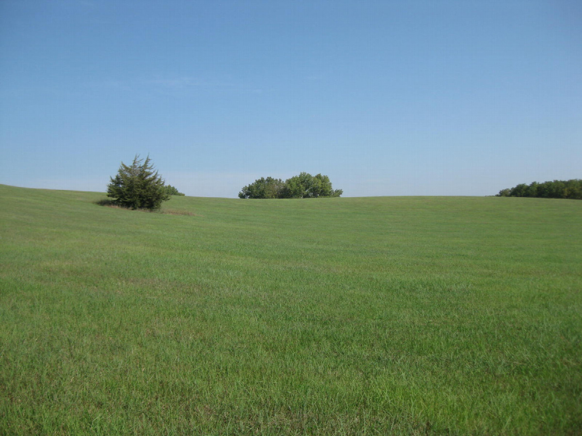 Microsoft background on the way back to my car