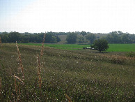 #2: Looking east toward the confluence beyond the alfalfa as I set out due east from my car