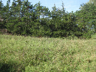 #4: View west from the confluence