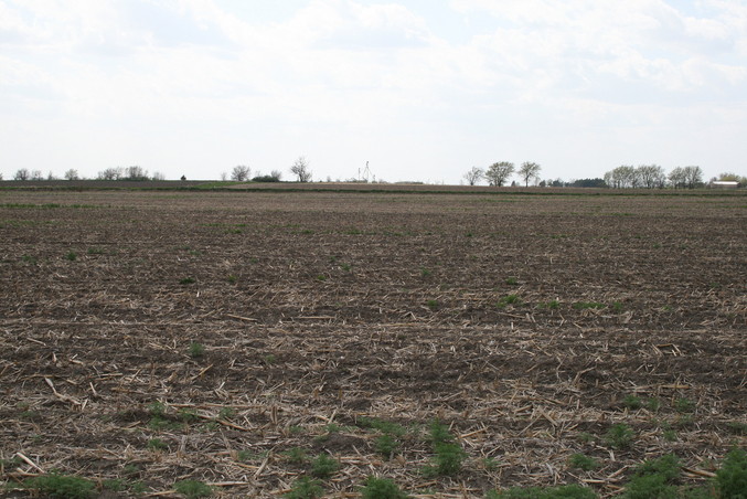 West View