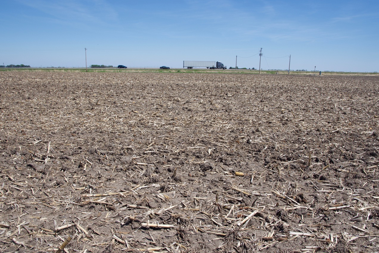 The confluence point lies in a (currently unused) farm field.  (This is also a view to the East, towards a highway, 0.1 miles away.)