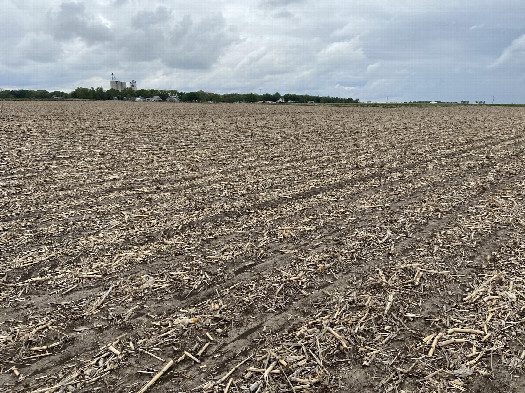 #1: The site of 41 North 98 West, in the foreground, looking northwest.