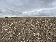 #6: View to the south from the confluence point. 