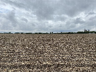 #7: View to the west from the confluence point. 