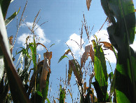 #3: View to the east and up