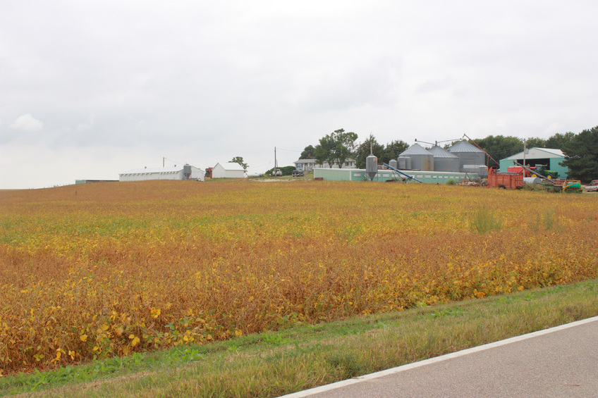 View of Farm from road NE