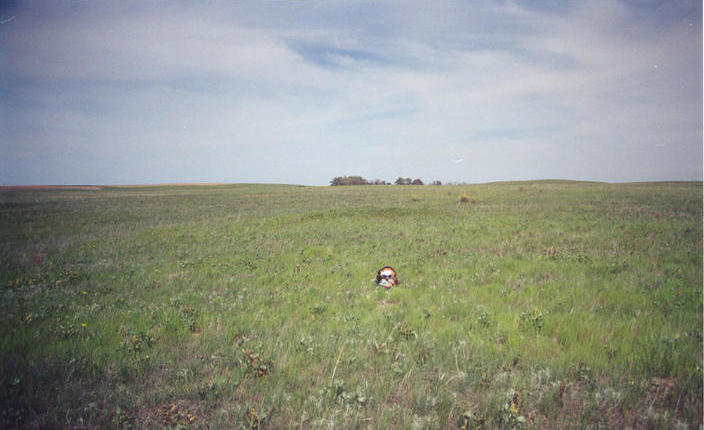 T. McGee Bear facing west at the point.