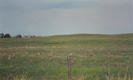 #4: Looking east from Hershey-Dickens Rd, point is above fence post in center of picture.