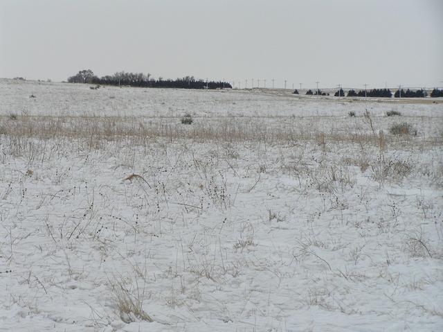 View to the south from the confluence.