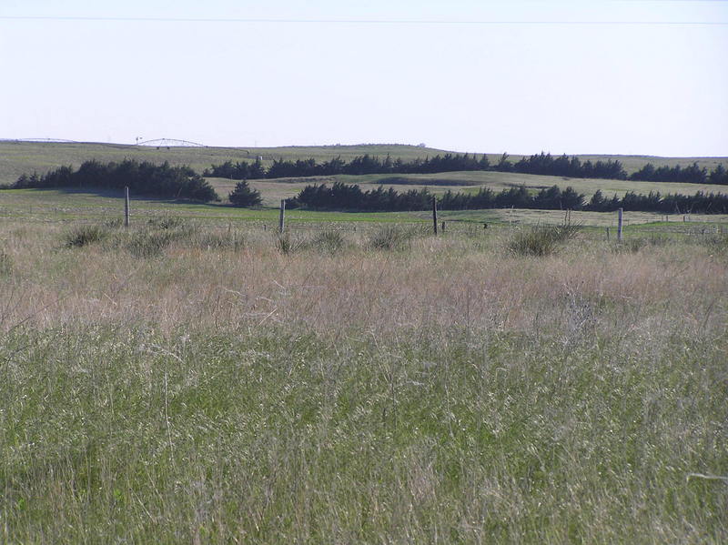 View to the west from the confluence.