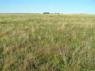 #1: The site of 41 North 101 West, in the front center of the photograph, looking due east.