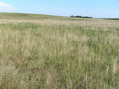 #5: View to the south.