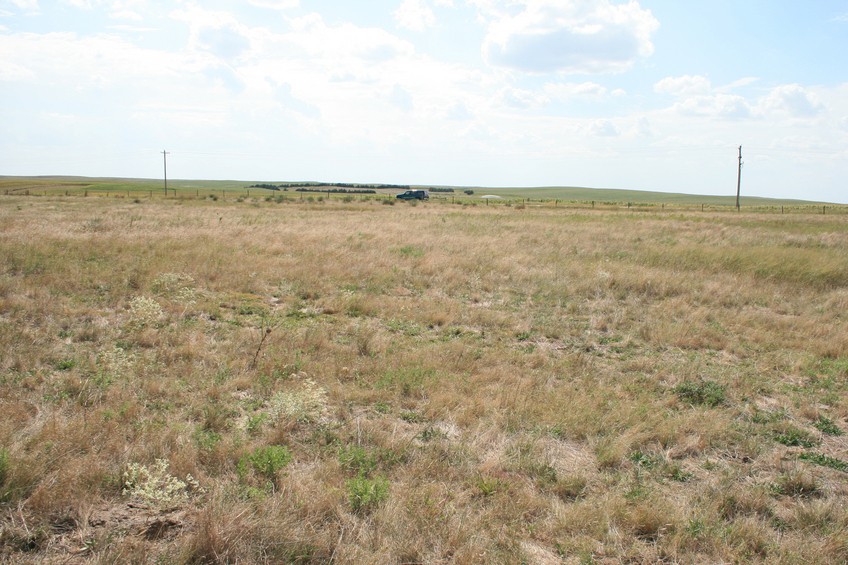 Overall View looking West with 41N 101W in the foreground