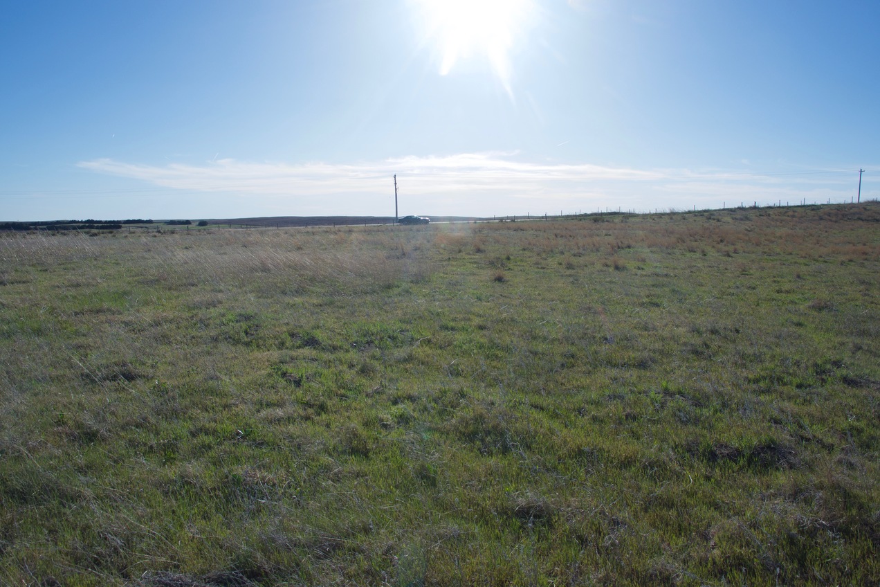 View West (towards Hershey-Dickens Road, 100m away)