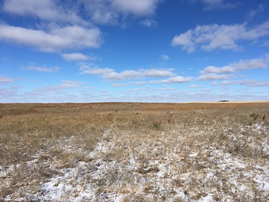 #1: View NNE toward the confluence (trodden circle in foreground)