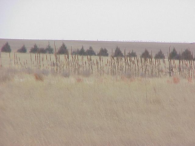 View to the west-northwest from the confluence site.