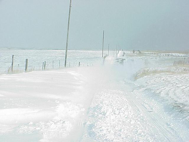 Ground blizzard about 1 km west of the confluence, looking back toward the site.